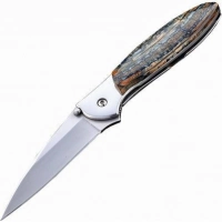 Полуавтоматический складной нож Santa Fe Kershaw Leek, сталь 14C28N, рукоять сталь с накладкой из зуба мамонта купить в Брянске